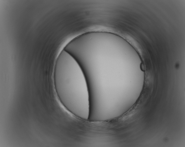 X0000093500863200710121042