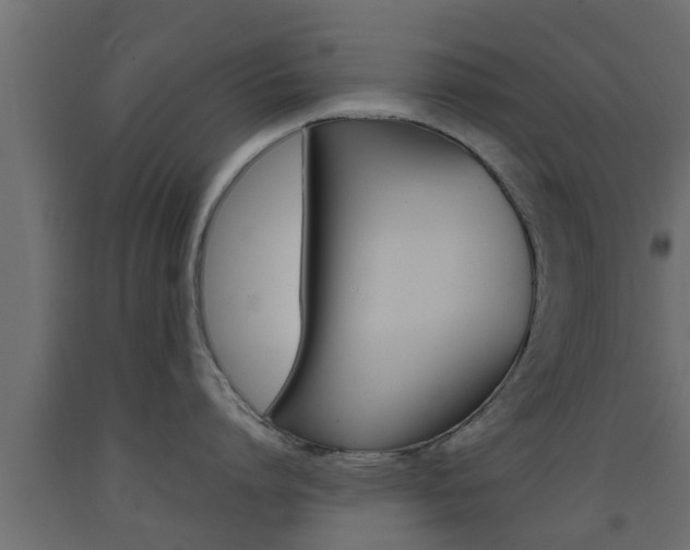 X0000093500864200710121042