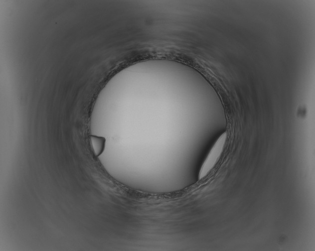 X0000093500865200710121041