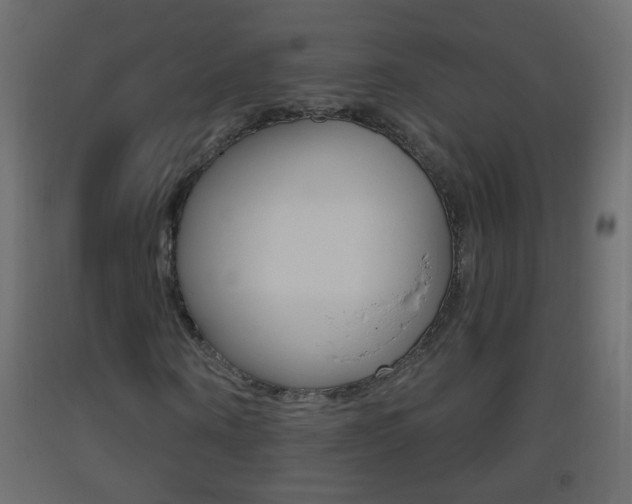 X0000093500866200710121041