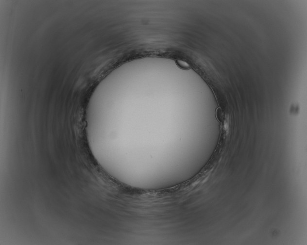 X0000093500867200710121041