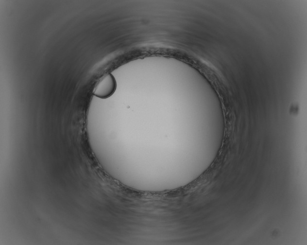 X0000093500870200710121041