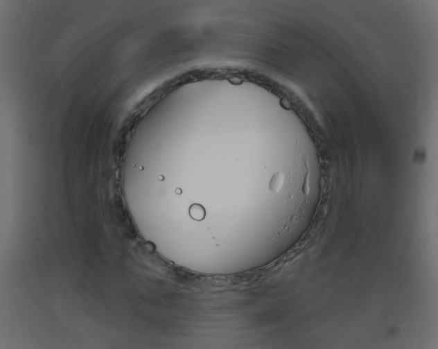 X0000093500871200710121041