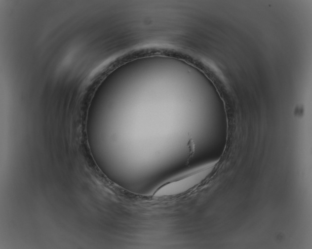 X0000093500872200710121041