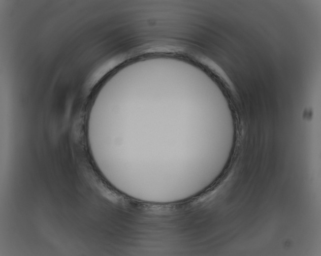 X0000093500874200710121041