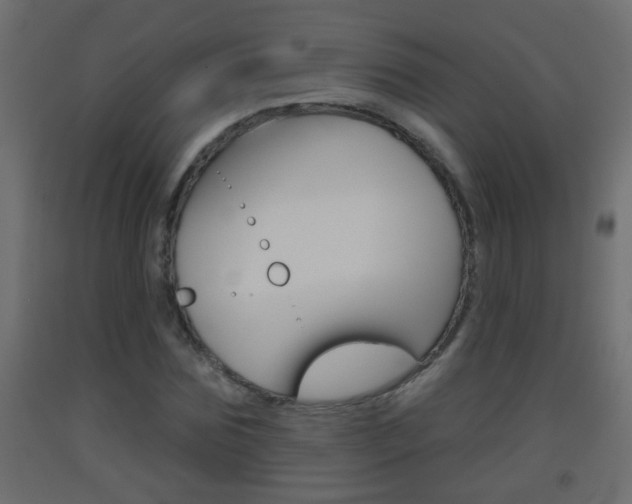 X0000093500875200710121041
