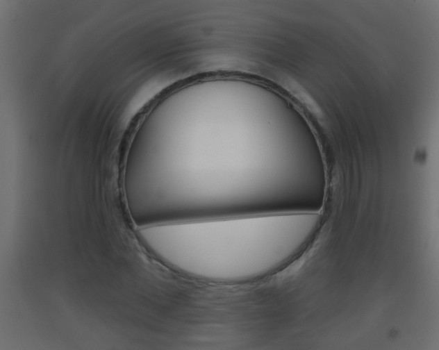 X0000093500877200710121041