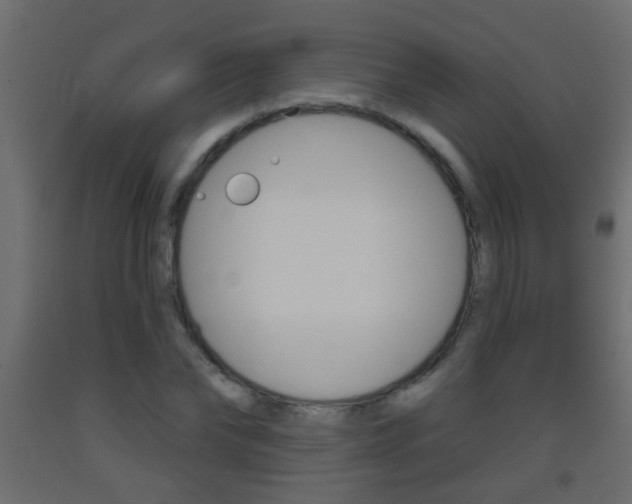 X0000093500878200710121041
