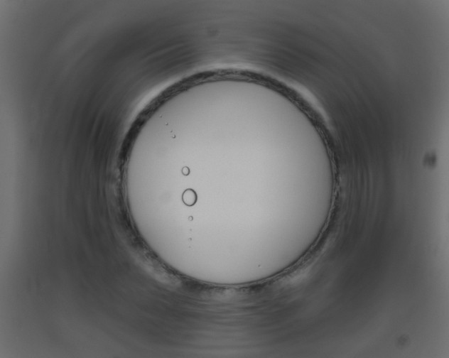 X0000093500879200710121041