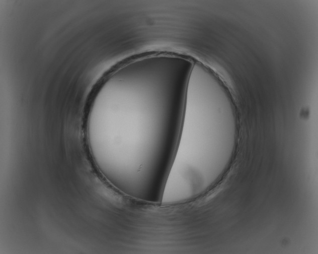 X0000093500880200710121041
