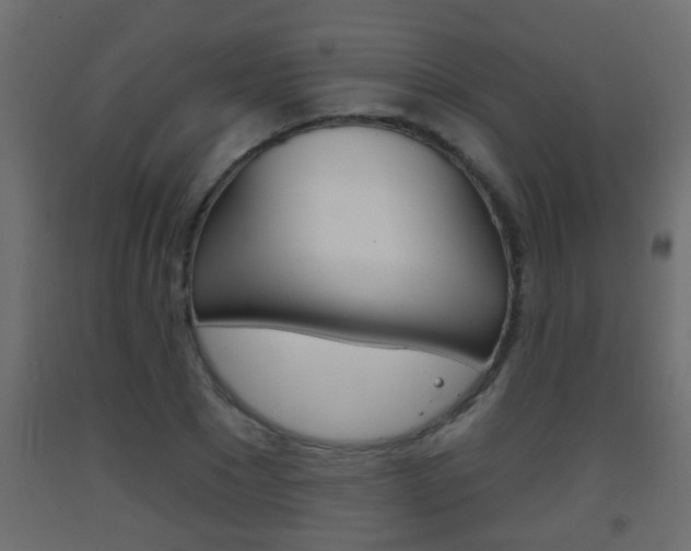 X0000093500881200710121041