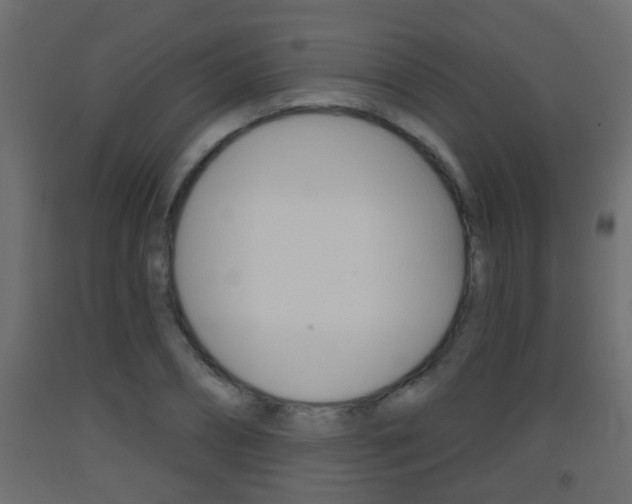 X0000093500882200710121041