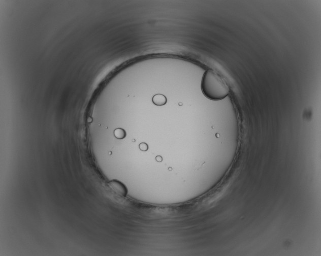 X0000093500883200710121041