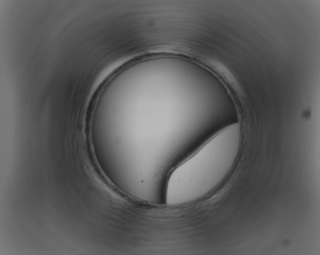 X0000093500884200710121041