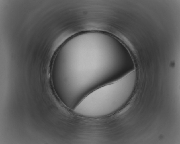 X0000093500885200710121041