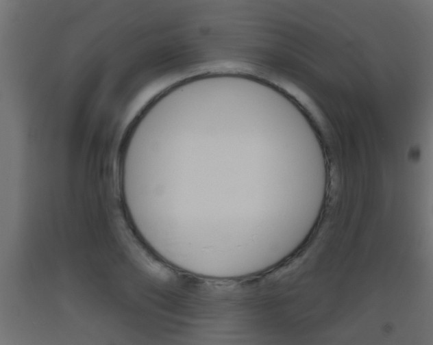 X0000093500886200710121041