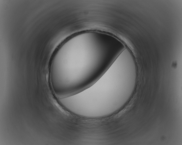 X0000093500888200710121041