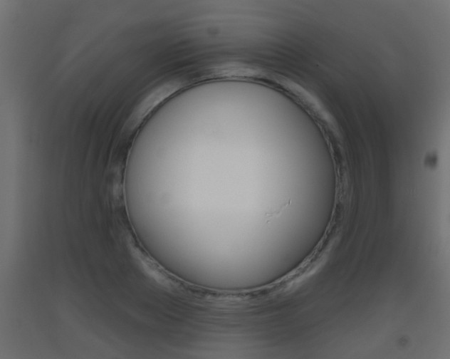 X0000093500889200710121041