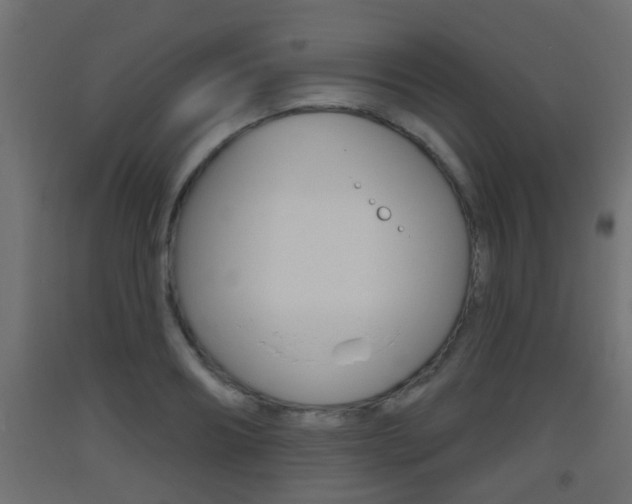 X0000093500890200710121041
