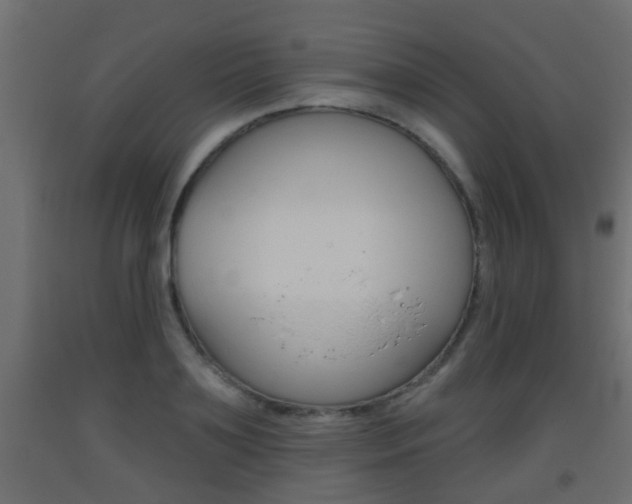 X0000093500891200710121041