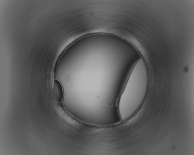 X0000093500892200710121041