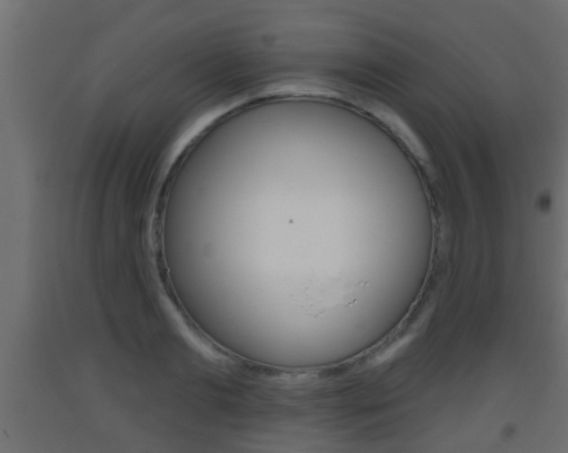 X0000093500893200710121041