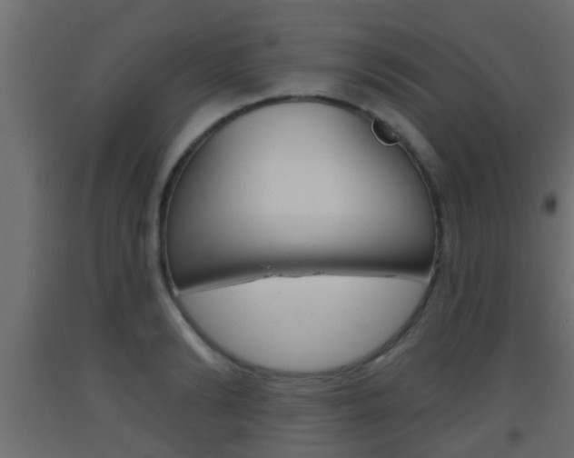 X0000093500894200710121041