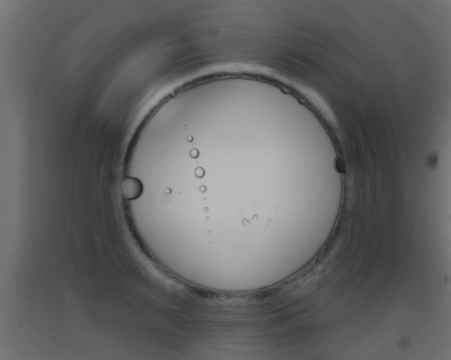 X0000093500895200710121041