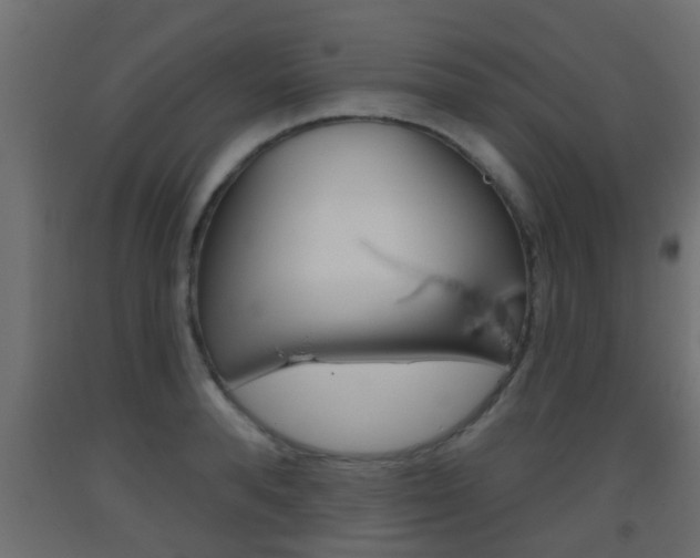 X0000093500896200710121041