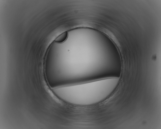 X0000093500898200710121041