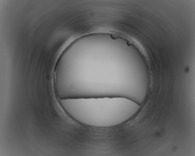 X0000093500899200710121040