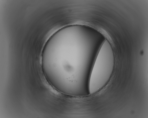 X0000093500900200710121040