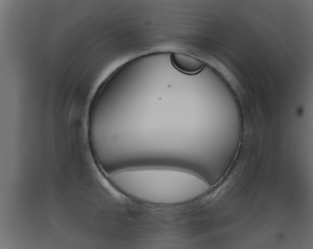X0000093500902200710121040