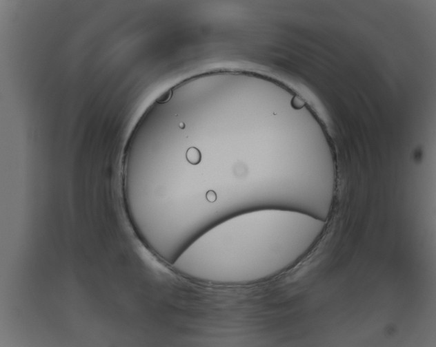 X0000093500903200710121040