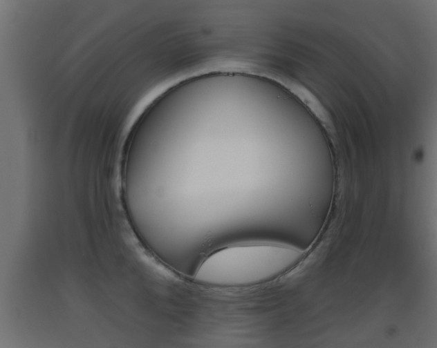 X0000093500904200710121040