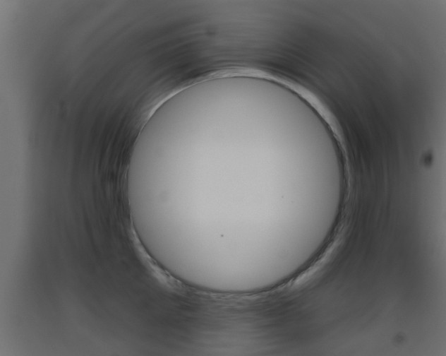 X0000093500905200710121040