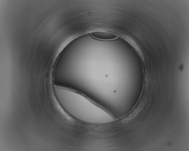 X0000093500906200710121040