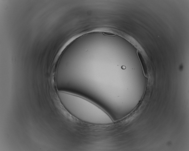 X0000093500908200710121040