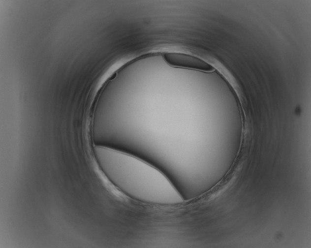 X0000093500909200710121040