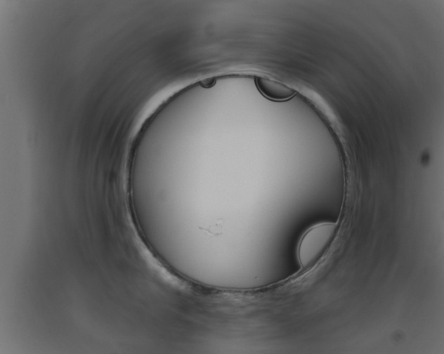 X0000093500910200710121040