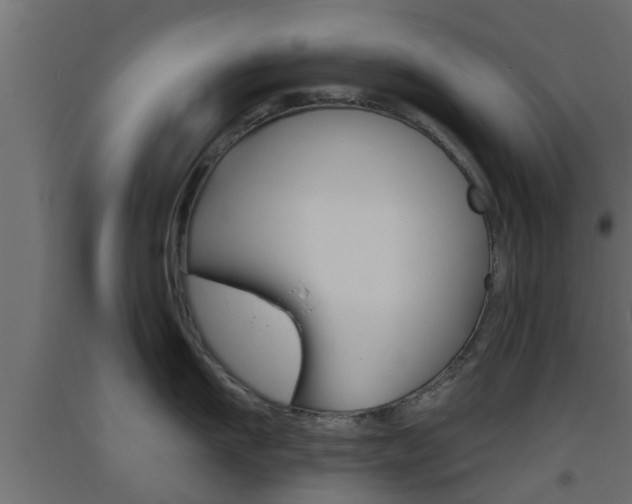 X0000093500911200710121040