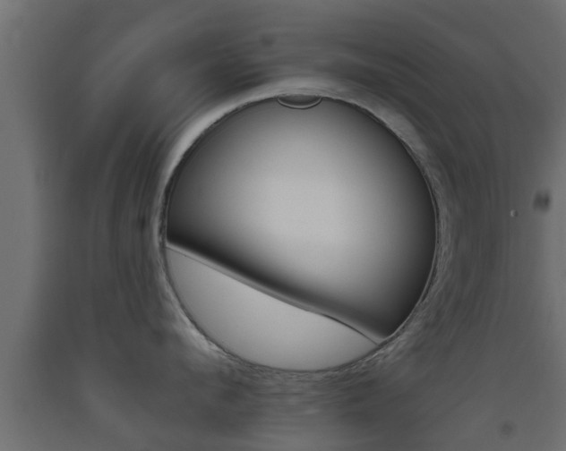 X0000093500912200710121040