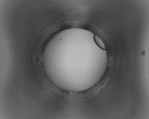 X0000093500913200710121040