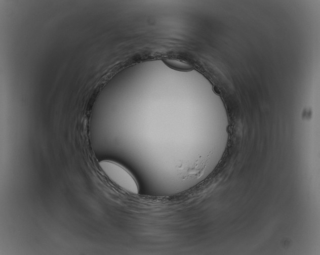 X0000093500914200710121040