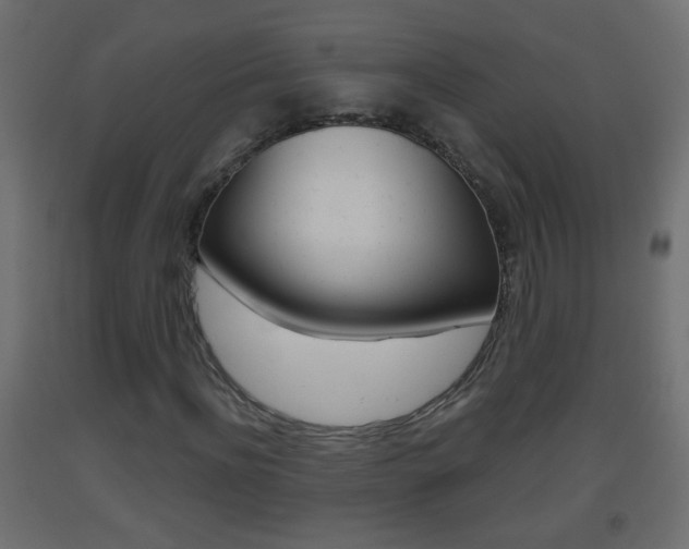 X0000093500916200710121040