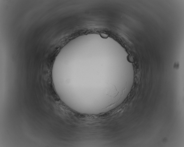 X0000093500917200710121040