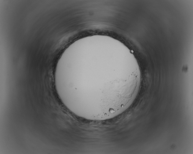X0000093500918200710121040