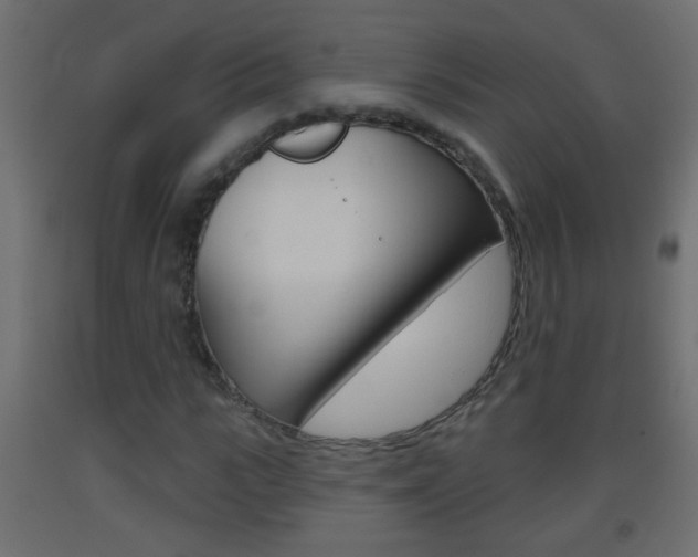 X0000093500919200710121040