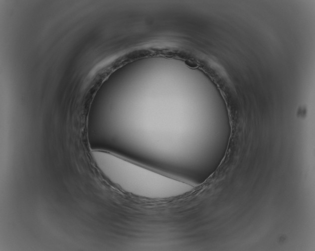 X0000093500920200710121040