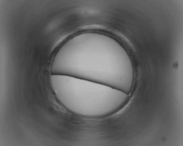 X0000093500921200710121040